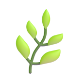 Rostlina